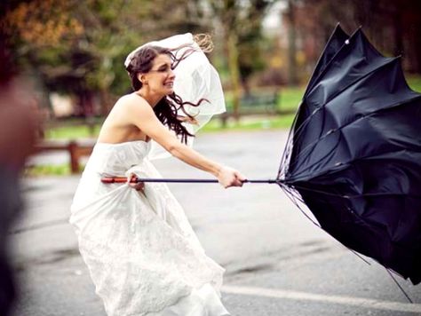 10 Most Cringe-Worthy Wedding Disasters - Minq.com Wedding Photo Fails, Wedding Fail, Funny Wedding Photos, 50th Wedding, Wedding Videos, Wedding Humor, Our Wedding Day, Backyard Wedding, On Your Wedding Day