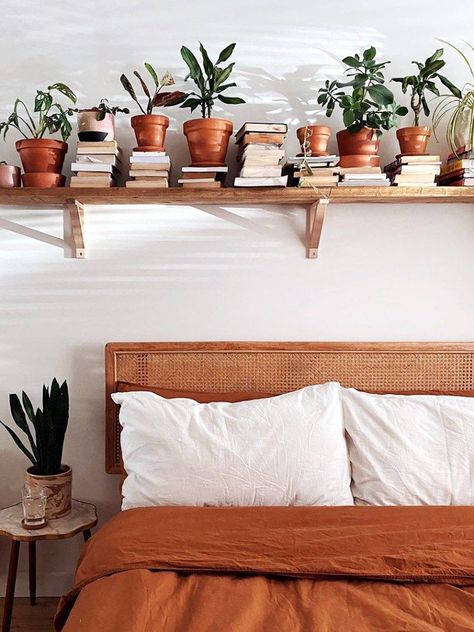 Indoor Plant Shelves, Deco Studio, Plant Shelf, Bedroom Style, Bedroom Plants, Inspiring Things, Room With Plants, Plant Shelves, Indoor Plant