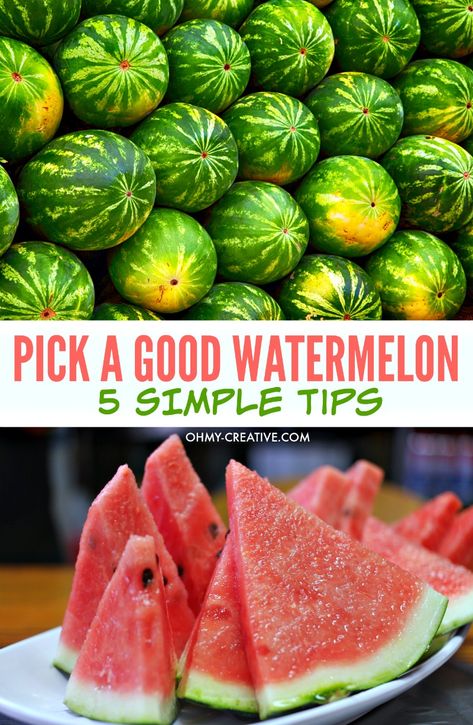 Wonder no more on How To Pick A Good Watermelon. These 5 simple Tips will have you selecting a delicious ripe juicy watermelon every time! OHMY-CREATIVE.COM #howtopickawatermelon #watermelon #bestwatermelontips Watermelon Ripeness, Good Watermelon, Lemonade Popsicles, Watermelon Cocktail, Graduation Party Foods, Sweet Watermelon, Fruit Picking, Watermelon Lemonade, Ripe Fruit