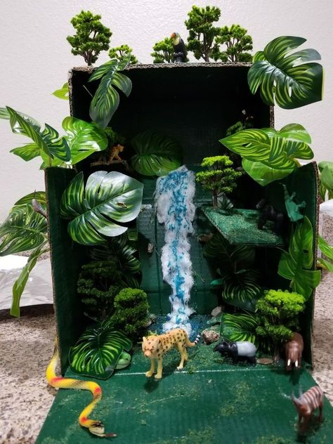 Shoebox Rainforest Project, Animal Habitat School Project, Rainforest Box Project, Temperate Rainforest Biome Project, Biome In A Box Project Rainforest, Rainforest School Project, 3d Rainforest Project, Amazon River School Project, Biome Project Ideas Rainforest