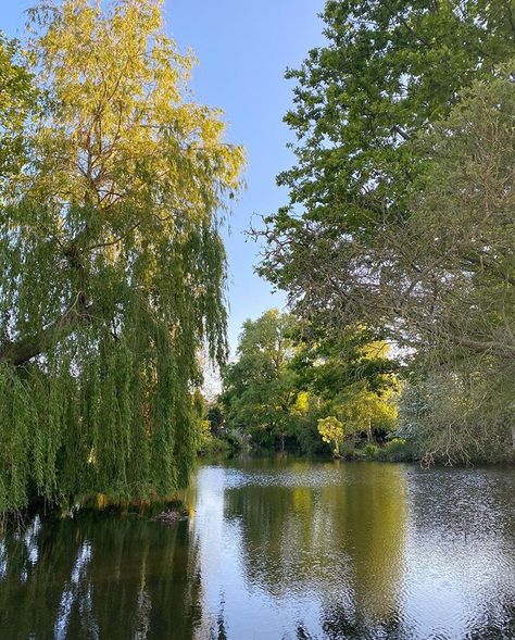 Late Spring Aesthetic, Dark Naturalism, Late Spring, Spring Aesthetic, Northern Italy, Alam Yang Indah, Summer Dream, Nature Aesthetic, Pretty Places