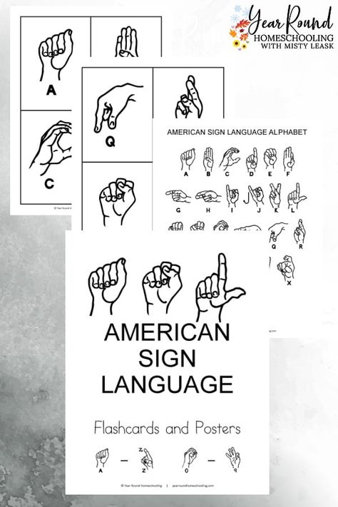 Months Of The Year Flashcards, Sign Language Flashcards, Language Flashcards, Homeschool Foreign Language, Learning Asl, Asl Learning, Simple Activities, Sign Language Alphabet, Homeschool Routine