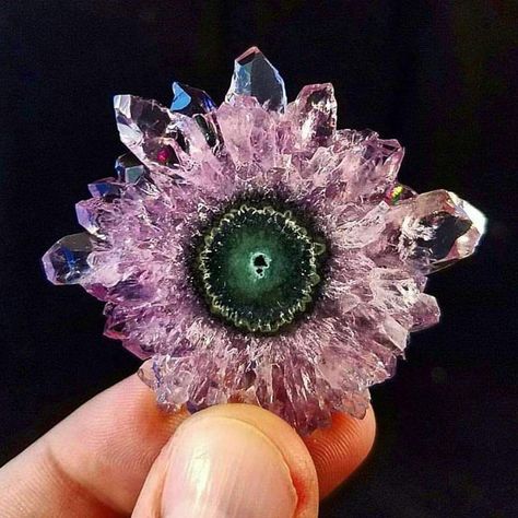 Absolutely perfect #Amethyst Stalactite Slice.   Photo: Nowar Minerals Uruguayan Amethyst Crystal Seashells, Minerals Museum, Amethyst Stalactite, Rock Minerals, Pretty Rocks, Mineral Stone, High Resolution Images, Minerals And Gemstones, Rocks And Gems