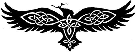 Celtic Raven Tattoo, Rabe Tattoo, Celtic Animals, Celtic Raven, Crow Tattoo, Celtic Tattoo, Illustration Tattoo, Crows And Ravens, Theme Tattoo