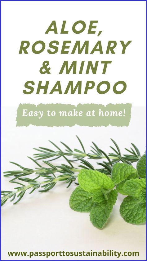 Your beauty is magnetic; it attracts positivity and inspires others. #BeautyTips #skincare #haircare #BeautySecrets Diy Rosemary Mint Shampoo, Diy Rosemary Mint Hair Oil, Rosemary Peppermint Hair Growth, Rosemary Conditioner Diy, Homemade Rosemary Shampoo, Homemade Herbal Shampoo Recipe, Natural Products For Hair, How To Make Your Own Shampoo For Hair Growth, Diy Aloe Shampoo