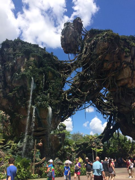 Inside Animal Kingdom a thrilling new world of Pandora unleashes magical new adventures World Of Pandora, New Adventures, Disney Parks, Animal Kingdom, New World, Disney, Animals