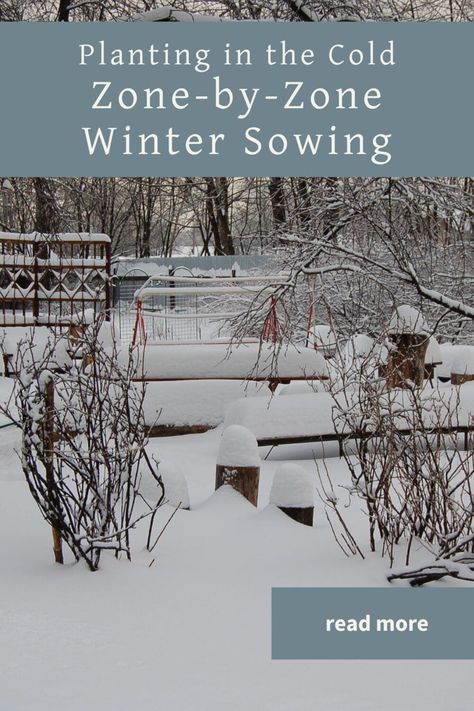 Planting in the Cold: A Zone-by-Zone Winter Sowing Exploration Milk Jugs Garden, Lake Landscaping, Wildlife Pond, Greenhouse Farming, Winter Sowing, Natural Gardening, Winter Greenhouse, Winter Vegetables Gardening, Garden Winter