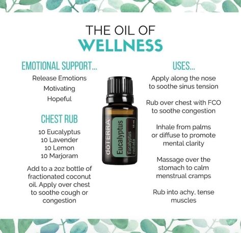 Spearmint Uses, Doterra Eucalyptus, Doterra Oils Recipes, Doterra Diffuser, Doterra Diffuser Blends, Chest Rub, Stuffy Nose, Essential Oil Diffuser Blends, Doterra Oils