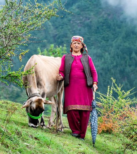 uttarakhand devbhoomi🔵 on Instagram: “Beauty of a place isn't defined by just the scenery around, the people, the animals , even the stones and bushes. They all together make us…” Himachal Culture, Uttarakhand Photography, Devbhoomi Uttarakhand, Uttarakhand Culture, Uttarakhand Beauty, Indian Art Gallery, Amazing Places On Earth, Construction Tools, Postcard Printing