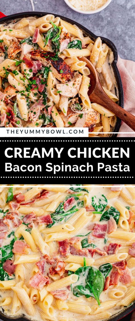 Chicken Bacon Spinach Pasta Recipes, Chicken Bacon Tomato Spinach Pasta, Creamy Chicken Bacon Spinach Pasta, Cooked Chicken And Spinach Recipes, Creamy Chicken Spinach Pasta Recipes, Chicken Bacon Spinach Recipes, Chicken Bacon Spinach Penne Pasta, Chicken Bacon Spinach Alfredo, Spinach Bacon Pasta Recipes