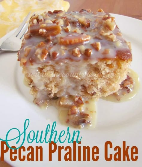 Southern Delight Butter Pecan Praline Poke Cake, Butter Pecan Praline Poke Cake Recipe, Butter Pecan Poke Cake, Southern Pecan Praline Cake, Butter Pecan Praline Poke Cake, Recipe Desert, Pecan Praline Cake, Fall Yummies, Stew Crockpot