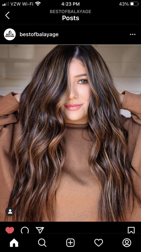 Tiger Eye Hair Color, Bayalage Brunette, Hair Color Brunette, Tiger Eye Hair, Dimensional Color, Hair Color For Black Hair, Brunette Hair Color, Balayage Hair, Summer Hairstyles