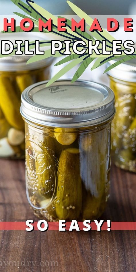 Canned Dill Pickles, Easy Dill Pickles, Homemade Dill Pickles, Dill Pickles Recipe, Garden Cucumbers, Homemade Tortilla Recipe, Easy Pickling Recipes, Homemade Pickles Dill, Quick Pickles