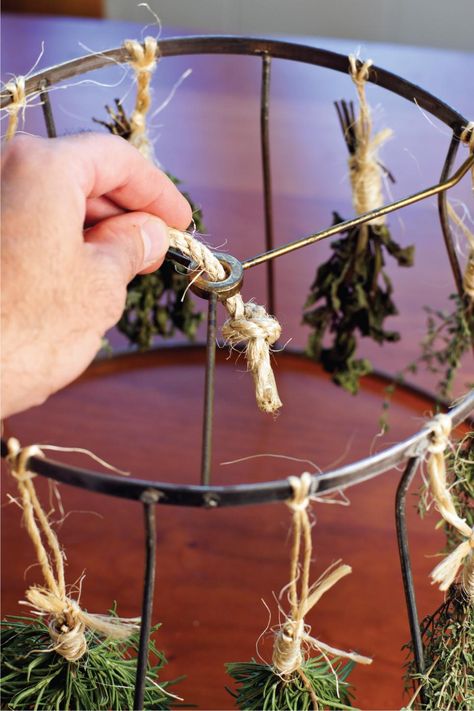 Upcycle a lampshade frame and turn it into a great device for making garden herbs last. Herb Drying Rack, Medicinal Herbs Remedies, Herb Drying, Wire Lampshade, Lampshade Frame, Witchy Kitchen, Night Blooming Flowers, Hgtv Garden, Sisal Rope