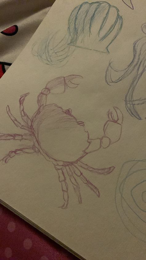 crab sea creatures marine life drawing doodles art sketch sketchbook idea underwater ocean color pencil Marine Sketch Ideas, Crab Sketch Drawings, Marine Biology Drawings Easy, How To Draw A Crab, Ocean Background Drawing, Crab Drawing Easy, Marine Biology Drawings, Ocean Drawing Underwater, Sea Life Doodles