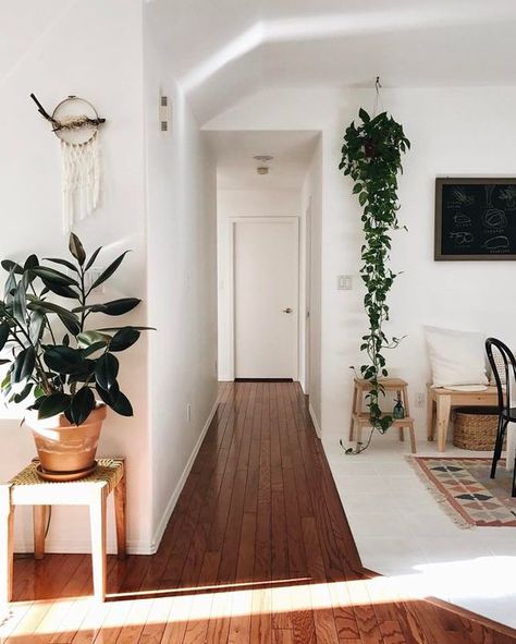 Styling Inspiration - Hallways — Hurd & Honey Scandi Inspired Living Room, Vine Tree, Minimalist Dekor, Entrance Way, Room Vibes, Casa Vintage, 아파트 인테리어, Decoration Inspiration, Inspired Living