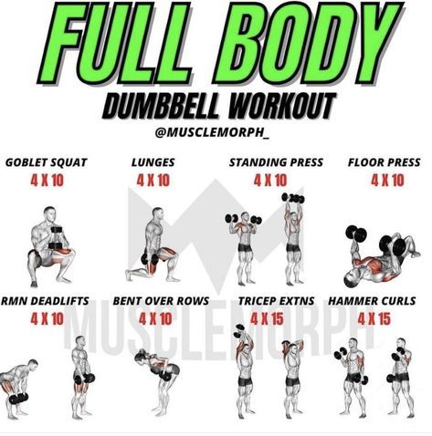 Hiit Dumbell Workout At Home, Dumbbell Workout Routine, Dumbbell Workout Plan, Full Body Dumbbell, Dumbbell Workout At Home, Full Body Weight Workout, Full Body Workout Plan, Fitness Studio Training, Workout Men