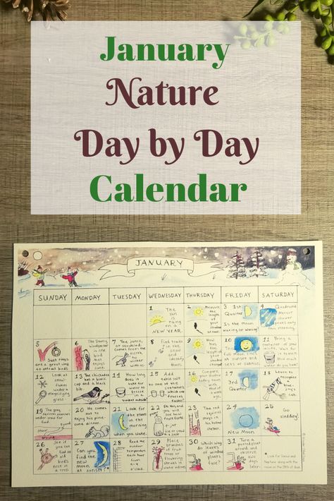 January Nature Day by Day Calendar January Nature, Homeschool Curriculum Planning, Nature Day, Calendar Cute, Nature Calendar, Reading Log Printable, Calendar January, Brain Based Learning, Day Calendar