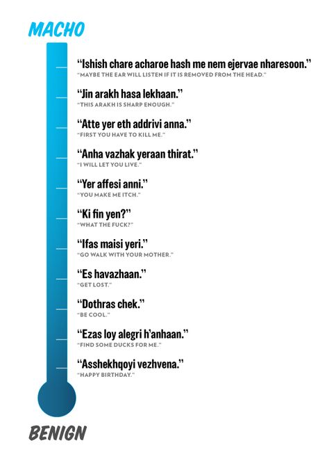 Dothraki Phrasebook Fever Chart. How soon until everyone is speaking Dothraki? Dothraki Language, Dothraki Aesthetic, Fever Chart, Brain System, Nerve Cells, Mental Disease, Feeling Numb, Management Skills, A Song Of Ice And Fire