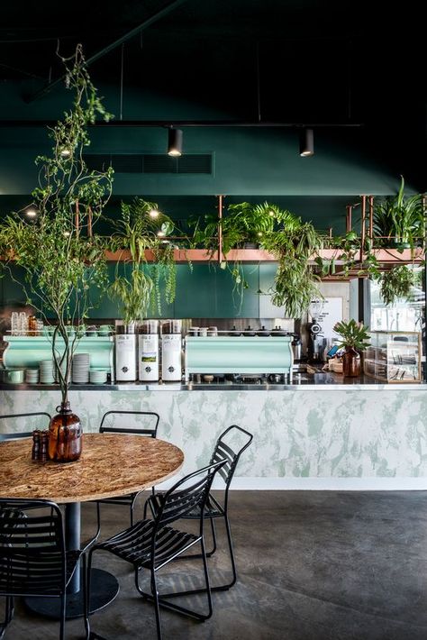 Cafe Plants, Rustic Coffee Shop, Espresso Cafe, Green Cafe, Coffee Shop Interior Design, Bg Design, Cafe Shop Design, Coffee Shops Interior, Espresso Bar