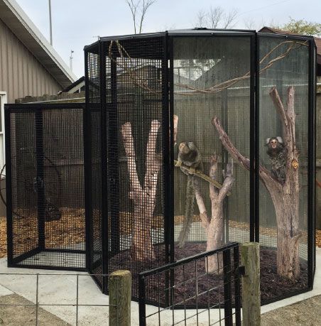 Small Zoo Ideas, Monkey Enclosure Design, Animal Cage, Built In Animal Cages, Monkey Cage, Wildlife Rehabilitation Enclosures, Rabbit Cages Outdoor, Cagaster Of Insect Cage, Bioactive Bird Cage