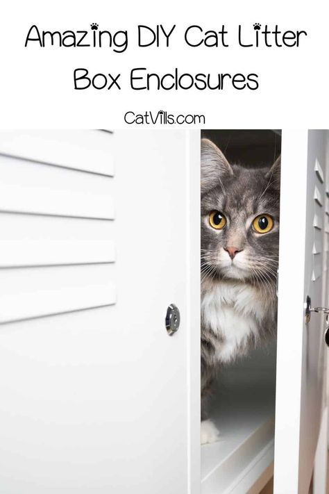 Closet Cat Litter, Cat Litter Box In Tiny House, Diy Litter Box Enclosure Ikea Hacks, Catbox Cabinet Ideas, Elevated Cat Litter Box Ideas, How To Hide A Cat Litter Box Kitty, Conceal Litter Box Ideas, Creative Cat Litter Solutions, Cat Litter Enclosure Diy