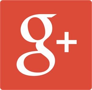 Google Plus Logo, Plus Logo, Communication Icon, Brand Icon, Wales Uk, Google Plus, Garden Recipes, Creative Icon, Logo Collection