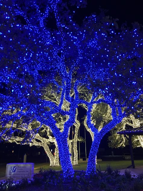 Hanukkah Lights Outdoor, Johnson City Texas, Downtown Christmas, The Electric Company, Blue Christmas Lights, London At Christmas, Christmas Lights Ideas, Dream Christmas, Parade Ideas