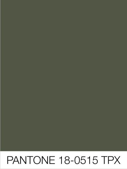 Khaki Green Aesthetic, Khaki Aesthetic, Phone Makeover, Colour Trend, Pantone Palette, Elephant Colour, Mood And Tone, Solid Color Backgrounds, Color Inspo