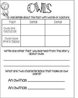 FREE Owl Writing, Owl Facts, Owl Pellets, 1st Grade Writing, Hip Hip Hooray, Primary Students, New Classroom, Hip Hip, Informational Text