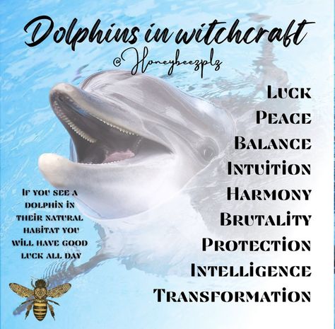 Luck - seeing a dolphin while out is good luck - place a charm on you for luck! Peace - an international sign of peace - programme a jewellery piece to remind you or someone else to keep the peace while wearing it Balance - if someone is working too hard or not putting enough effort in - carve their name, balance & a dolphin into a grey candle to help bring wisdom to the individual Intuition - if your being called to the dolphin it is guides telling you to trust your intuition and go on gut Spirit Animal Dolphin, Dolphin Spirit Animal, Dolphin Quotes, Grey Candle, Sign Of Peace, Gut Instinct, Dolphin Tale, Grey Candles, Animal Meanings