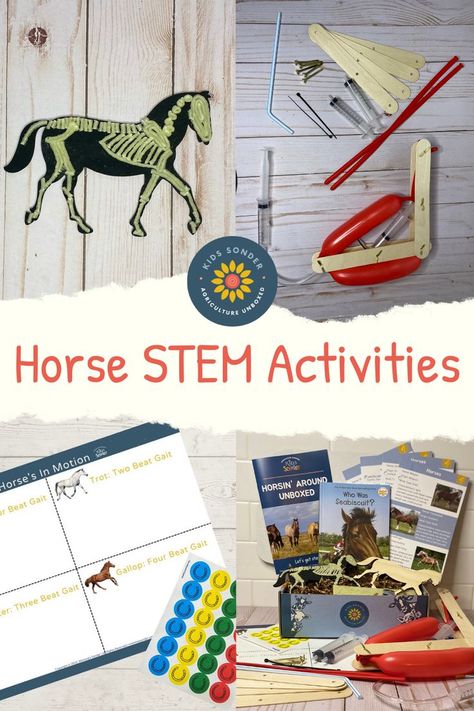 Horse Activities For Kids, Animal Learning Activities, Horse Activities, Horse Skeleton, Homeschool Art Curriculum, Hydraulic Arm, Homeschool Science Curriculum, Horseback Riding Lessons, Horse Lessons