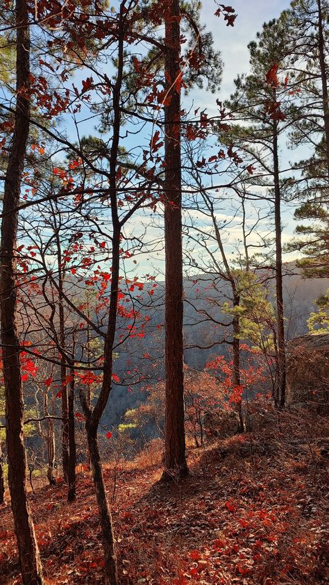 Fayetteville Arkansas Fall, Eureka Springs Arkansas Fall, Fayetteville Arkansas Aesthetic, Fall Arkansas, Arkansas Aesthetic, Country Girl Aesthetic, Farm Town, Purple Mountain Majesty, Eureka Springs Arkansas