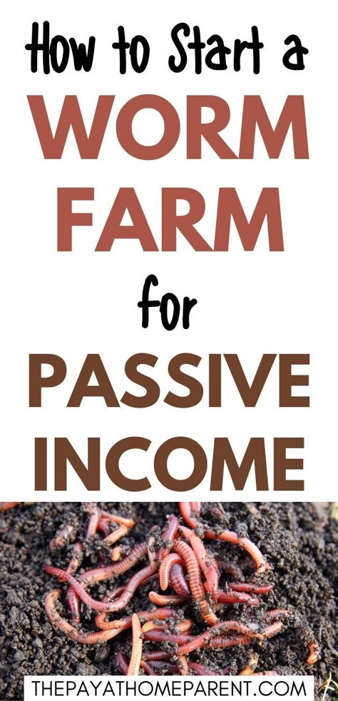 Hobby Farm Side Hustle, How To Start A Worm Farm Composting Bins, Easy Worm Farm, How To Build A Worm Farm, Worm Farming For Profit, How To Start A Farm With No Money, Vermiculture Worm Farm Diy, Worm Bin Diy, Starting A Farm Business