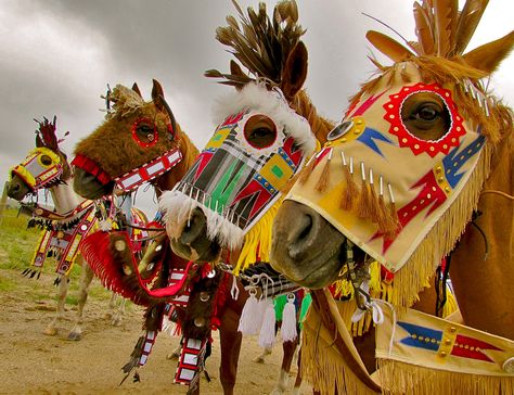 of 17 horse regalia four horses wearing regalia designed by the ... Native Horse, Native American Masks, Native American Horses, Horse Mask, Indian Horses, Native American Regalia, American Indian History, Horse Costumes, Native American Artwork