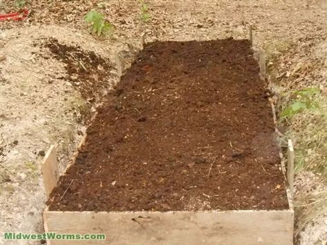 My Outdoor In-Ground Worm Bed - Midwest Worms In Ground Worm Bin, Worm Beds How To Make A, Raising Worms, Frozen Bedding, Worm Farm Diy, Worm Beds, Crushed Limestone, Horse Manure, Farm Diy