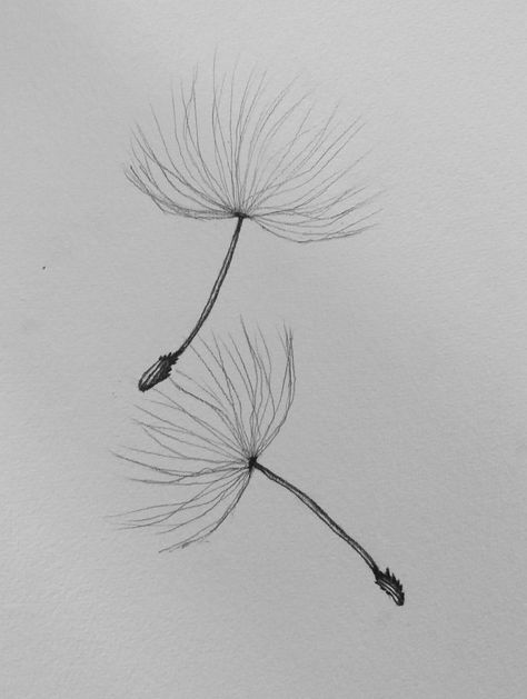 Dandelion Seed Drawing, Dandelion Flower Painting, Dandelion Fluff Tattoo, Dandelion Spine Tattoo, Blowing Dandelion Tattoo Simple, Dainty Dandelion Tattoo, Dandy Lion Tattoo, Dandelion Seed Tattoo, Dandelion Tattoo Meaning