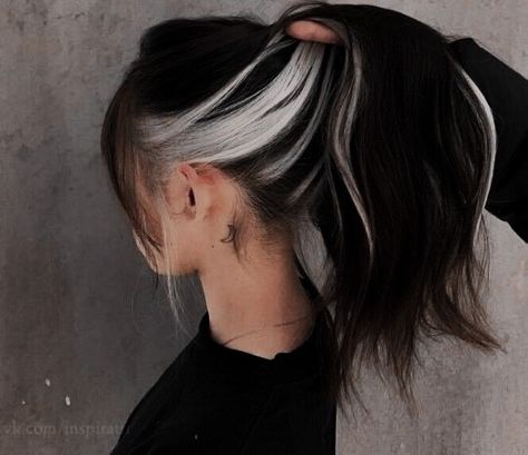 Top Black Bottom Platinum Hair, Dark Hair Color Balayage Ideas, Peekaboo With Black Hair, Black Hair With Silver Peekaboo, Black Hair Grey Underneath, Black And Silver Peekaboo Hair, Peekaboo Grey Hair, Black Hair Silver Underneath, Dark Hair With White Underneath