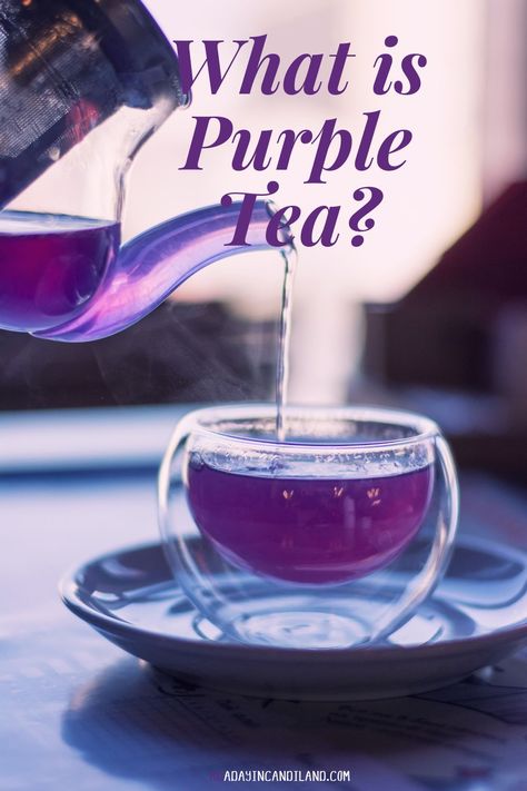 Purple tea is a new type of tea that's sourced from the same plant as green, oolong, and black tea. Purple tea contains a lot of antioxidants that may have several health benefits. Purple Tea Party, Benefits Of Black Tea, Types Of Teas, Oolong Tea Benefits, How To Make Purple, Tea Blending, Suburban Homestead, Kenyan Tea, Grape Tea