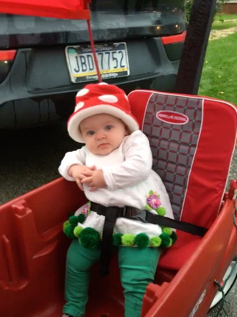 Mushroom Baby Costume, Baby Mushroom Costume, Mushroom Halloween Costume, Mushroom Fairy Costume, Cottage Outfits, Mushroom Halloween, Purim Ideas, Mario Bros Birthday Party Ideas, Diy Mushroom