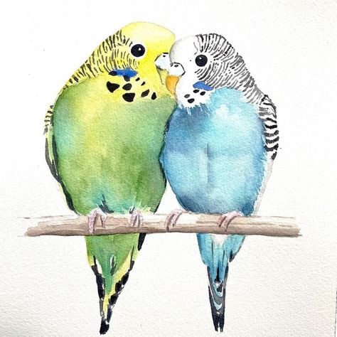 Budgies Drawing, Bird Paintings, Budgie Bird Drawing, Budgies Bird Drawing, Parakeet Watercolor, Watercolor Painting Easy, Watercolor Landscape Tutorial, Budgie Watercolour Painting, Cat Drawing Tutorial