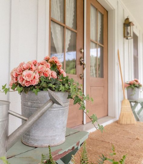 With these front porch plant displays, you can elevate the curb appeal of your home by adding a pop of color and personality to its exterior. With these 20 ideas, you'll feel inspired to decorate your front porch for the spring and summer seasons. Front Porch Planter Ideas, Front Porch Planter, Modern Farmhouse Front Porch, Porch Planter Ideas, Hanging Wicker Baskets, Porch Planter, Renovated Farmhouse, Front Porch Plants, Boxwood Tree