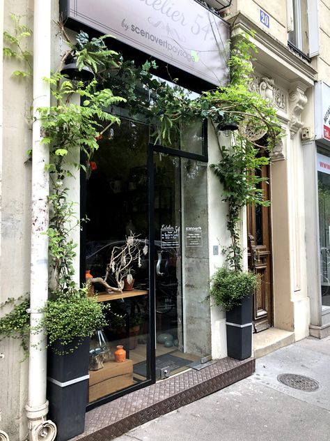 Store Front Plants, Salon Store Front Ideas Window, Salon Exterior Ideas Store Fronts, Salon Window Display, Store Entrance, Store Front Windows, Herbal Store, Shop Facade, Nightclub Design