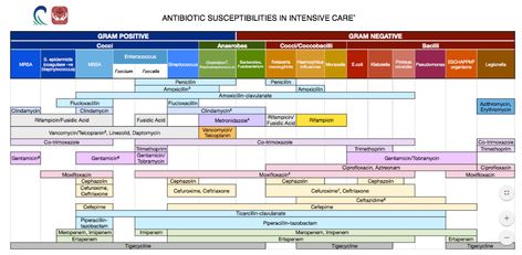 Antibiotic Stewardship, Endocrine Pharmacology, Antibiotics Chart, Antibiotics Pharmacology, Advanced Pharmacology, Activity Chart, Infection Control Nursing, Cranial Nerves Mnemonic, Blood Pressure Symptoms