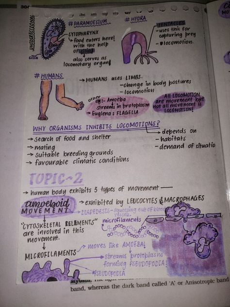 Locomotion And Movement Neet Notes, Locomotion And Movement, Neet Tips, Human Body Exhibit, Bodies Exhibit, Neet Notes, Pulling An All Nighter, Study Music, Study Flashcards