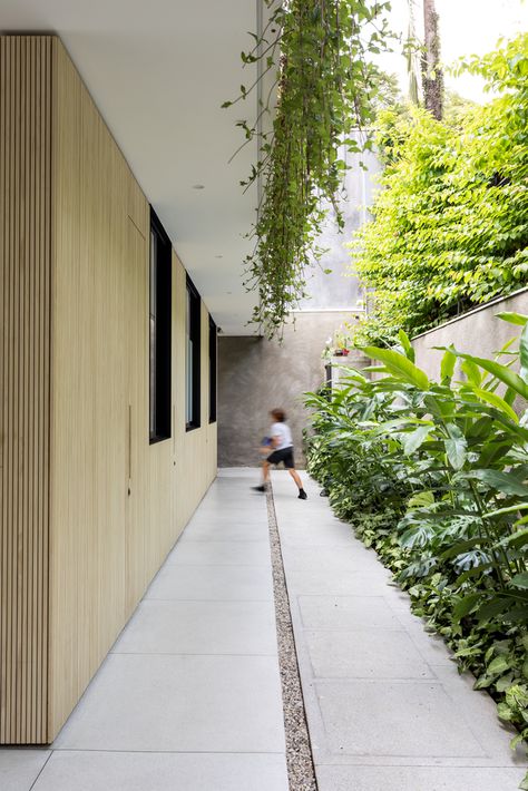 Courtyard Plants, Covered Walkway, Areas Verdes, Perfect House, House Design Kitchen, Tropical Landscaping, Roof Garden, House Built, House Architecture Design