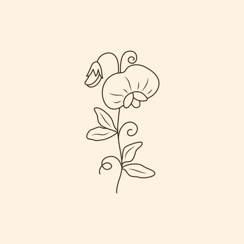 Sweet pea 🖤 #flowers #floralicons #florallogo #plantillustration #botanicelements #botanical #logoelements #lineicons #lineart #lineillustration #handdrawn #simpleillustration #natalieartshop #etsy #etsyshop #digitaldrawing #digitalartist Sweet Pea Drawing Simple, Flower Lineart Simple, Pea Plant, Logo Elements, Plant Logos, Sweet Pea Flowers, Engraving Ideas, Paint Rocks, Glass Engraving