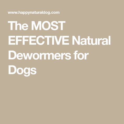 The MOST EFFECTIVE Natural Dewormers for Dogs Natural Dewormer For Dogs, Dog Worms, Deworming Dogs, Black Cumin Seed, Diatomaceous Earth Food Grade, Worms In Dogs, Intestinal Parasites, Oregon Grape, Black Cumin