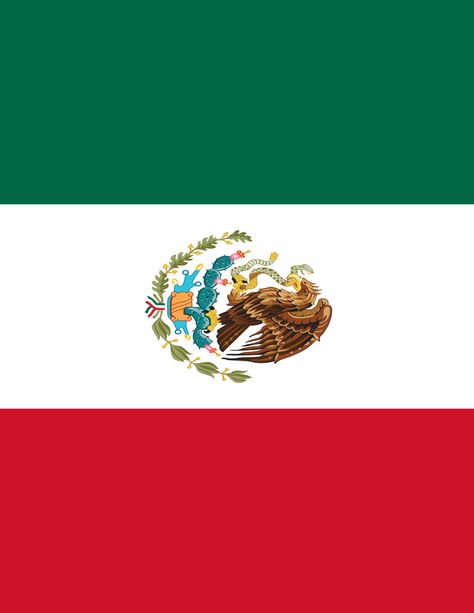 mexico flag full page Flag Of Mexico, Italy Tattoo, Mexico Wallpaper, Six Flags Over Texas, Calabria Italy, Flag Wallpaper, Mexican Flag, Mexican Flags, Mexico Flag