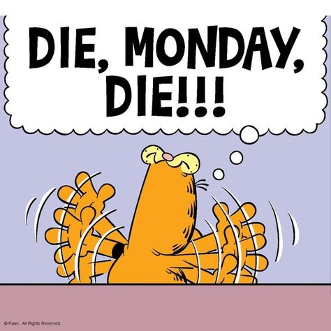 Garfield Monday, Hate Mondays Funny, Garfield Quotes, Monday Sucks, Garfield Pictures, Garfield Images, Garfield Cartoon, Workplace Humor, I Hate Mondays